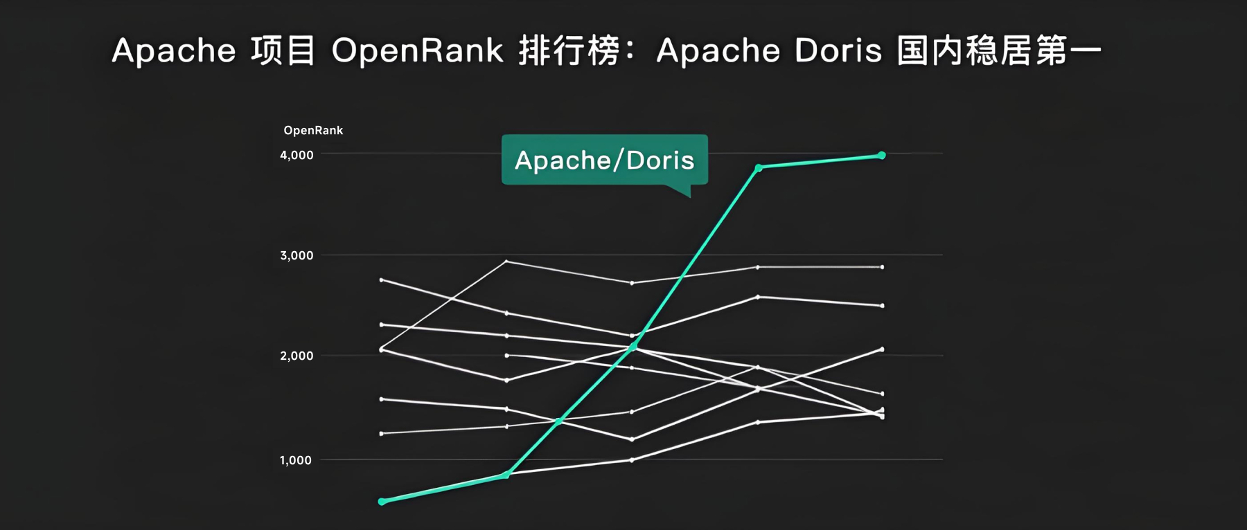 ApacheCon 2025中国开源年度报告:Apache Doris 国内第一