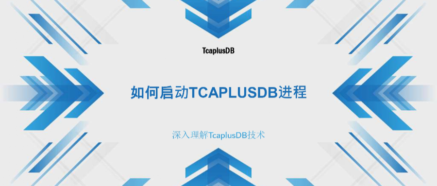 【深入理解TcaplusDB技术】TcaplusDB进程
