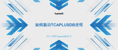 【深入理解TcaplusDB技术】TcaplusDB进程