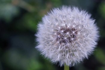 https://static001.geekbang.org/infoq/dd/dd4020ab2b1853c8197cced7140c708c.jpeg?x-oss-process=image/resize,w_416,h_234