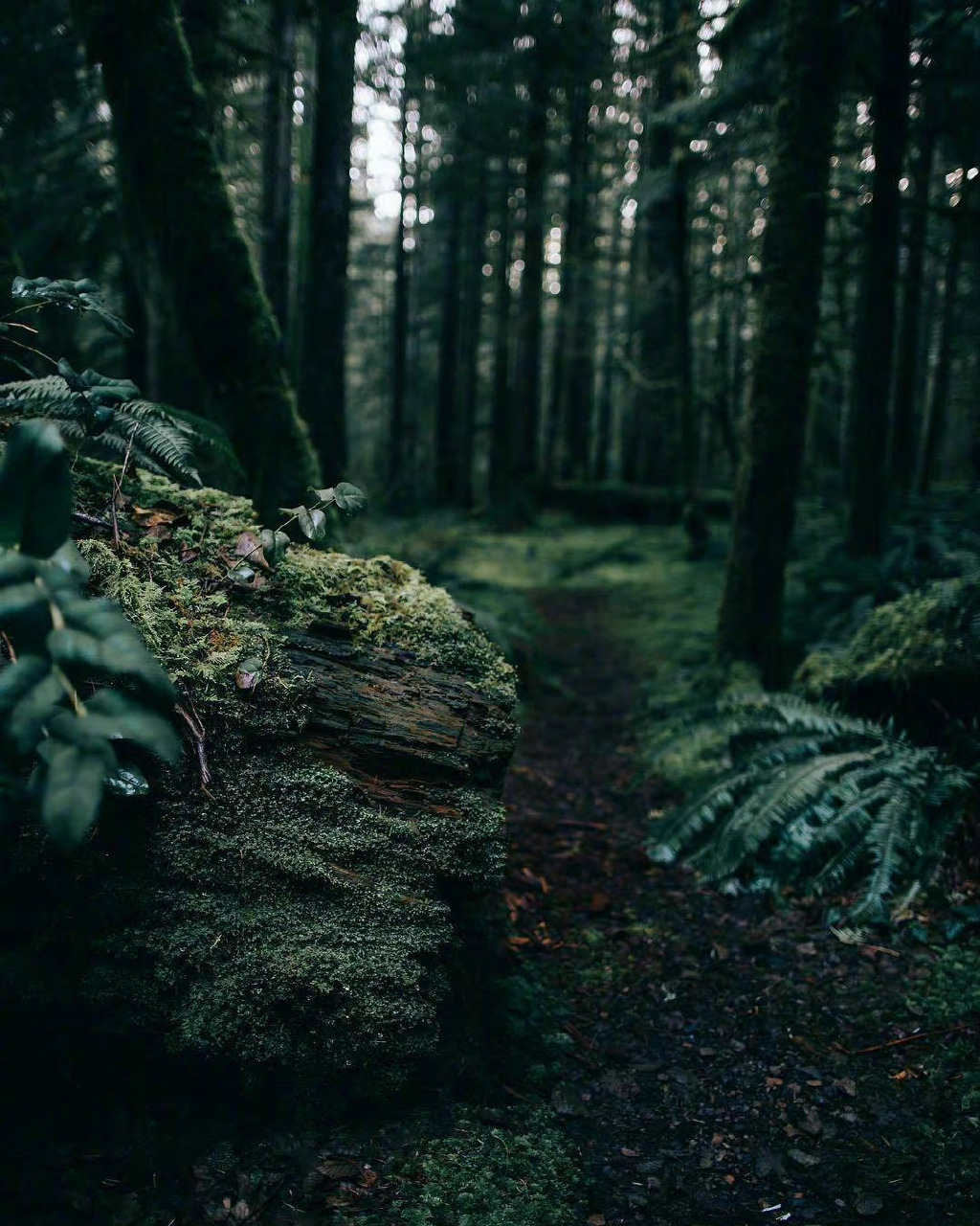 Spring Boot 三层架构解密：从 Controller 到 Repository 的数据之旅