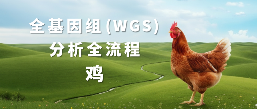 Sentieon | 鸡全基因组（WGS）分析流程