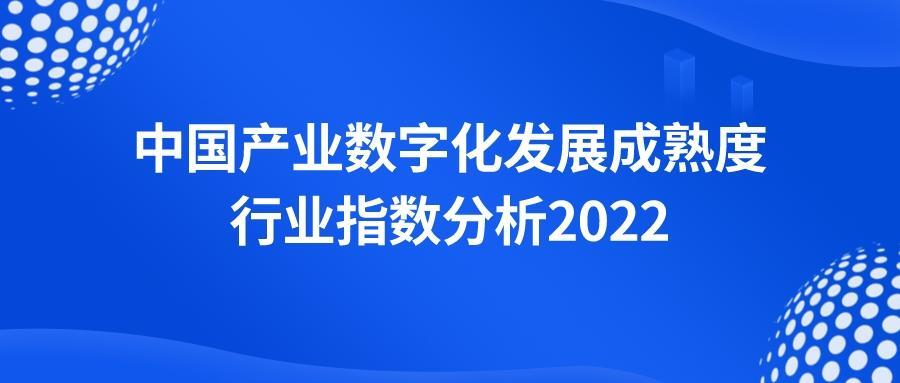 2022中国产业数字化发展成熟度行业指数分析—— 重视差异，结合自身要素禀赋，推进产业精细化治理