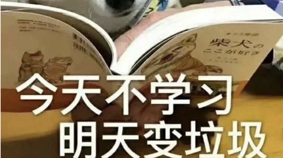 睡前简单聊两句——内容创作的那些事