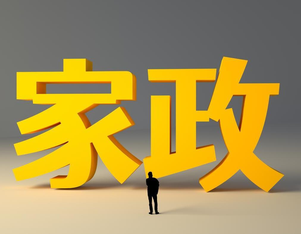 新视角家政系统:一站式上门服务数字化解决方案