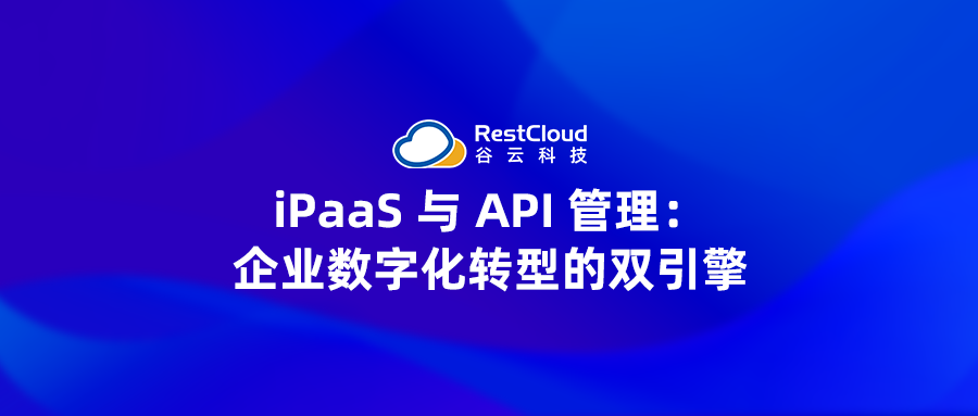 iPaaS 与 API 管理:企业数字化转型的双引擎