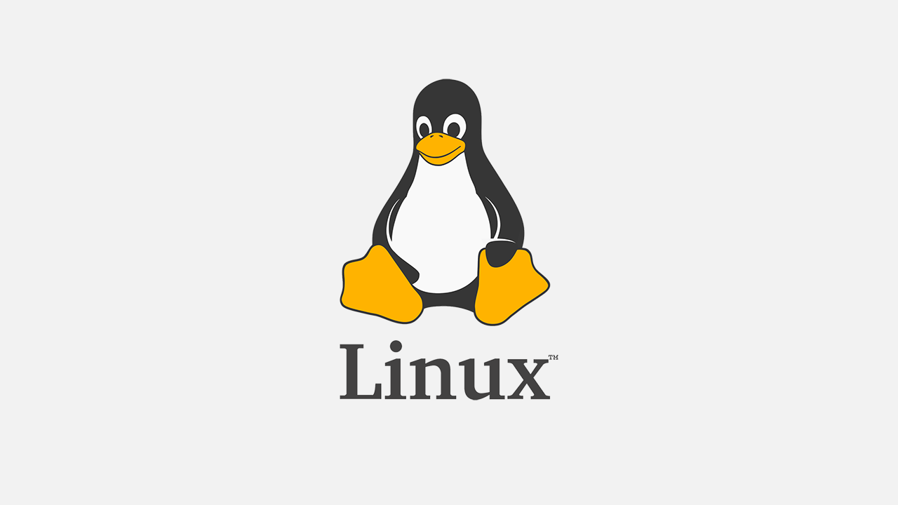Linux数据流重定向