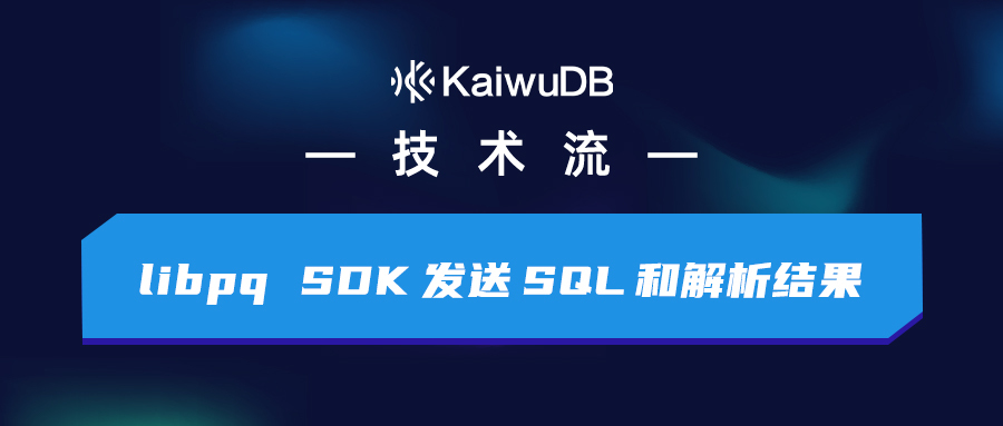 libpq SDK 发送 SQL 和解析结果