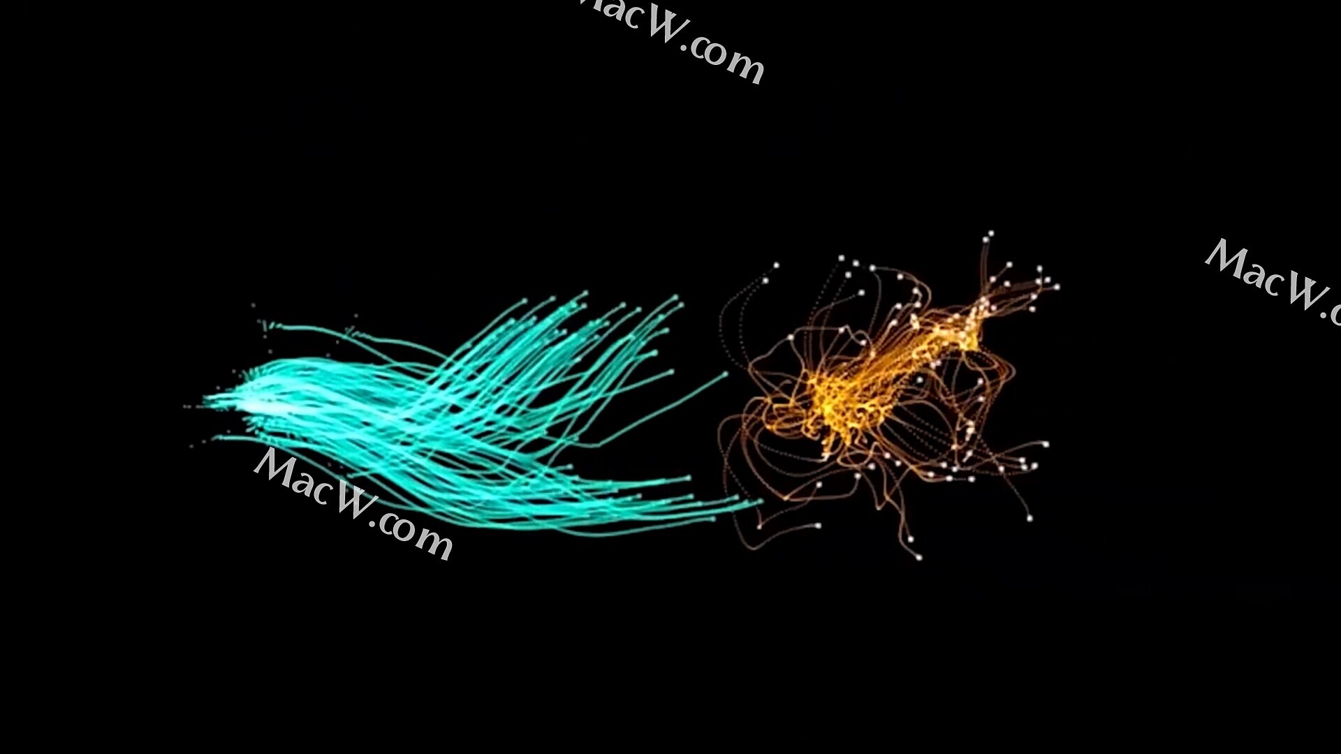 Trapcode Suite 2024 mac红巨人粒子特效套装插件 附安装教程