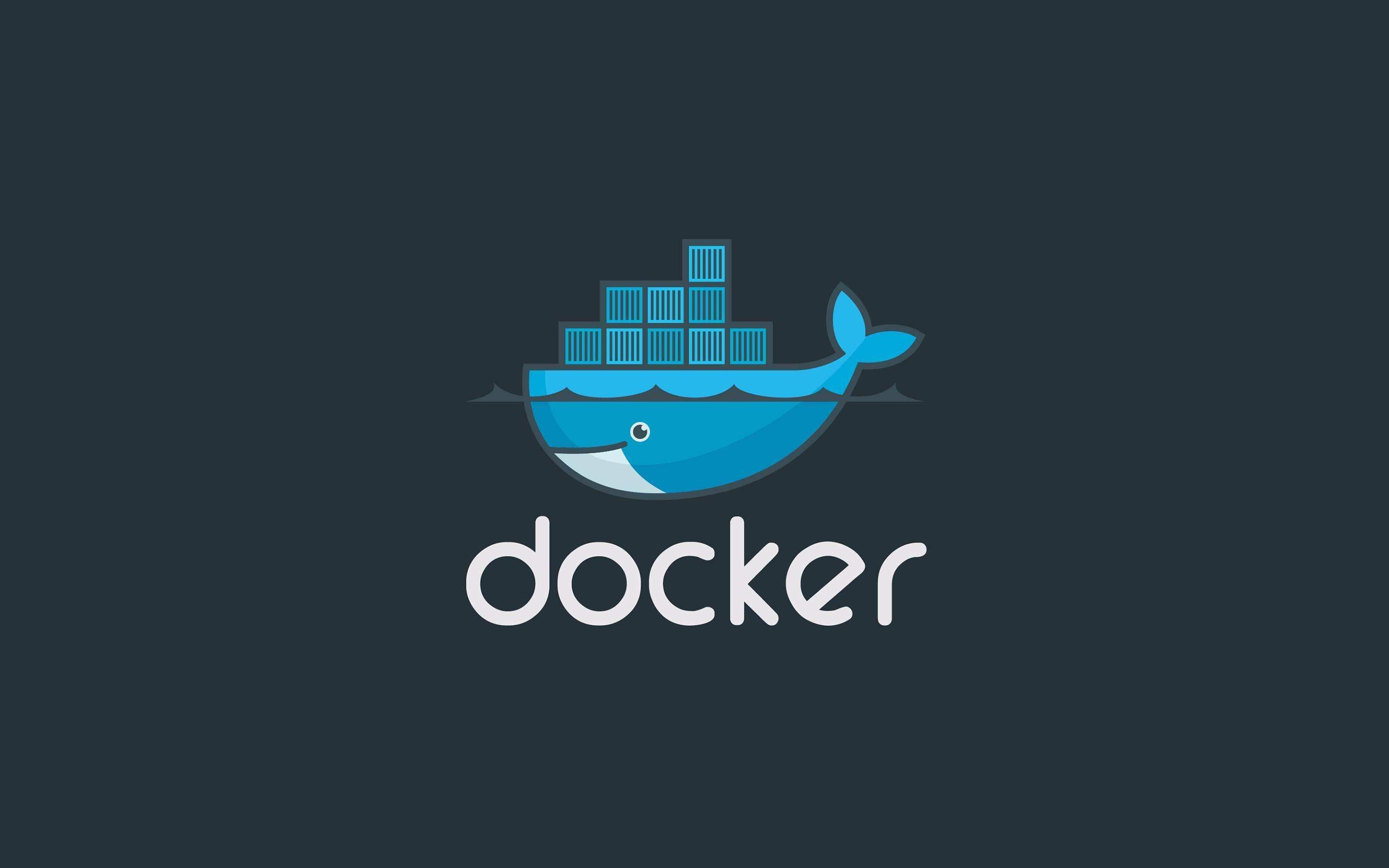 Docker 实战教程之从入门到提高(二)