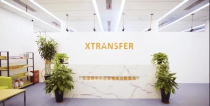 热门招聘丨 XTransfer史上最全产品技术岗位公开招聘