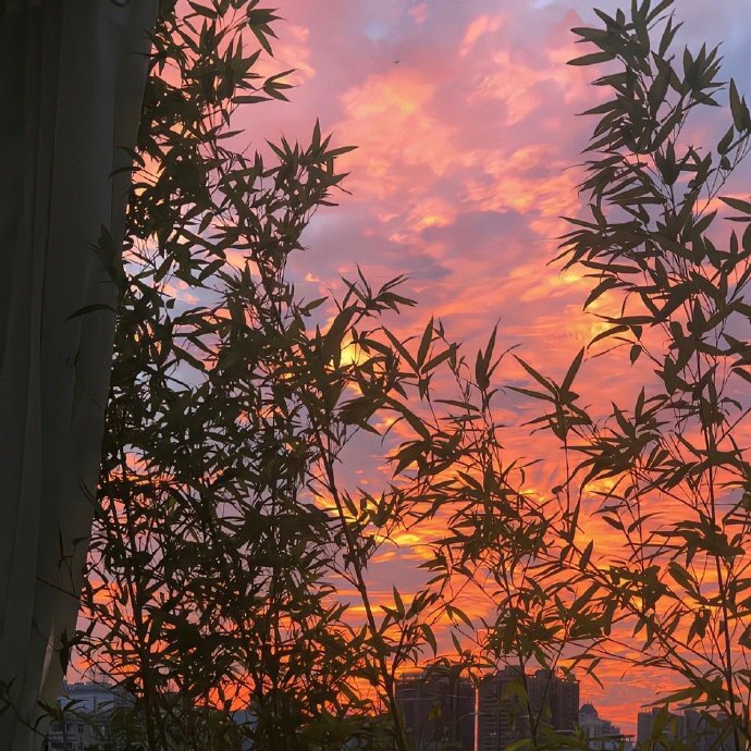 基于反馈循环的自我进化AI智能体:原理、架构与代码实现