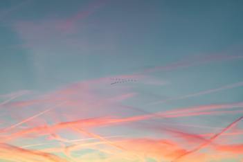 Flink Weekly | 每周社区动态更新-20200513