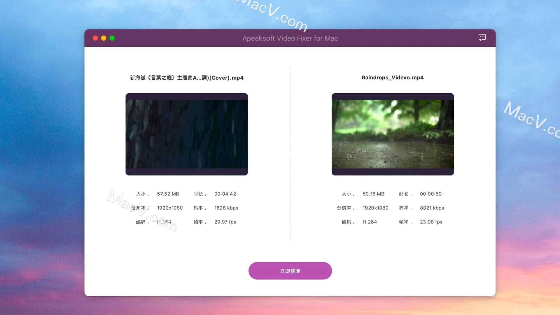 Apeaksoft Video Fixer for Mac 视频修复软件