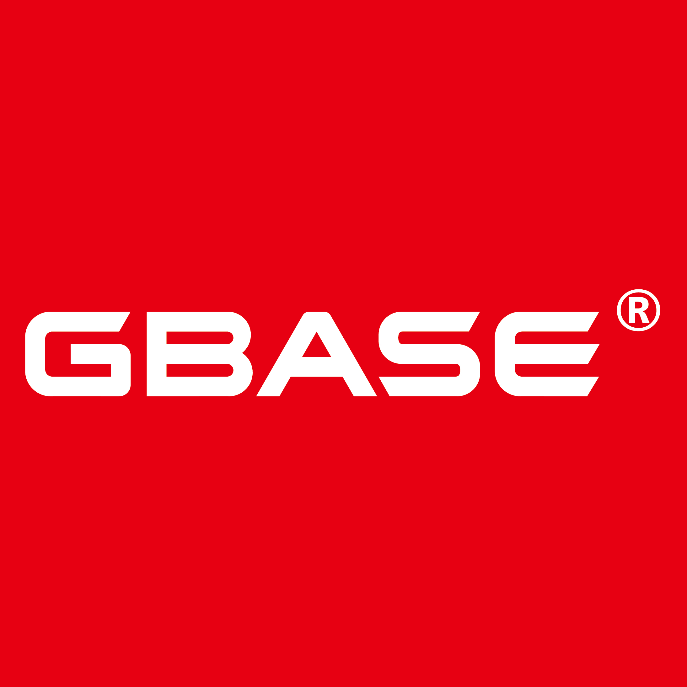 GBase 8s 之数据存储空间划分