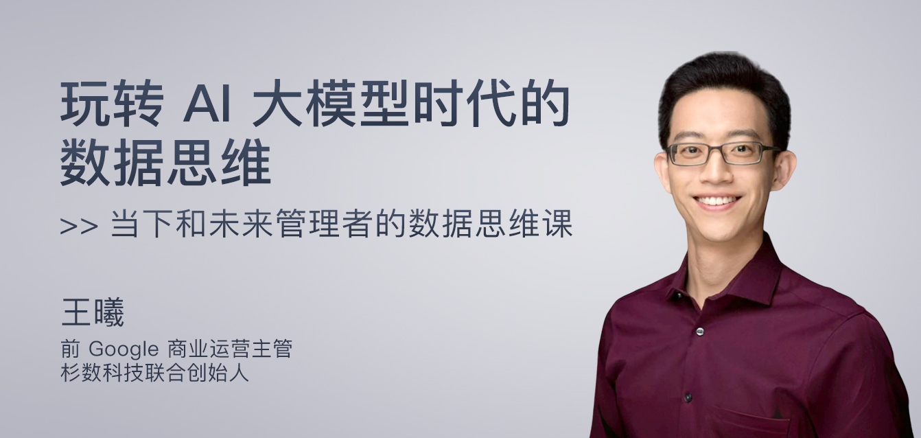 玩转AI大模型时代的数据思维