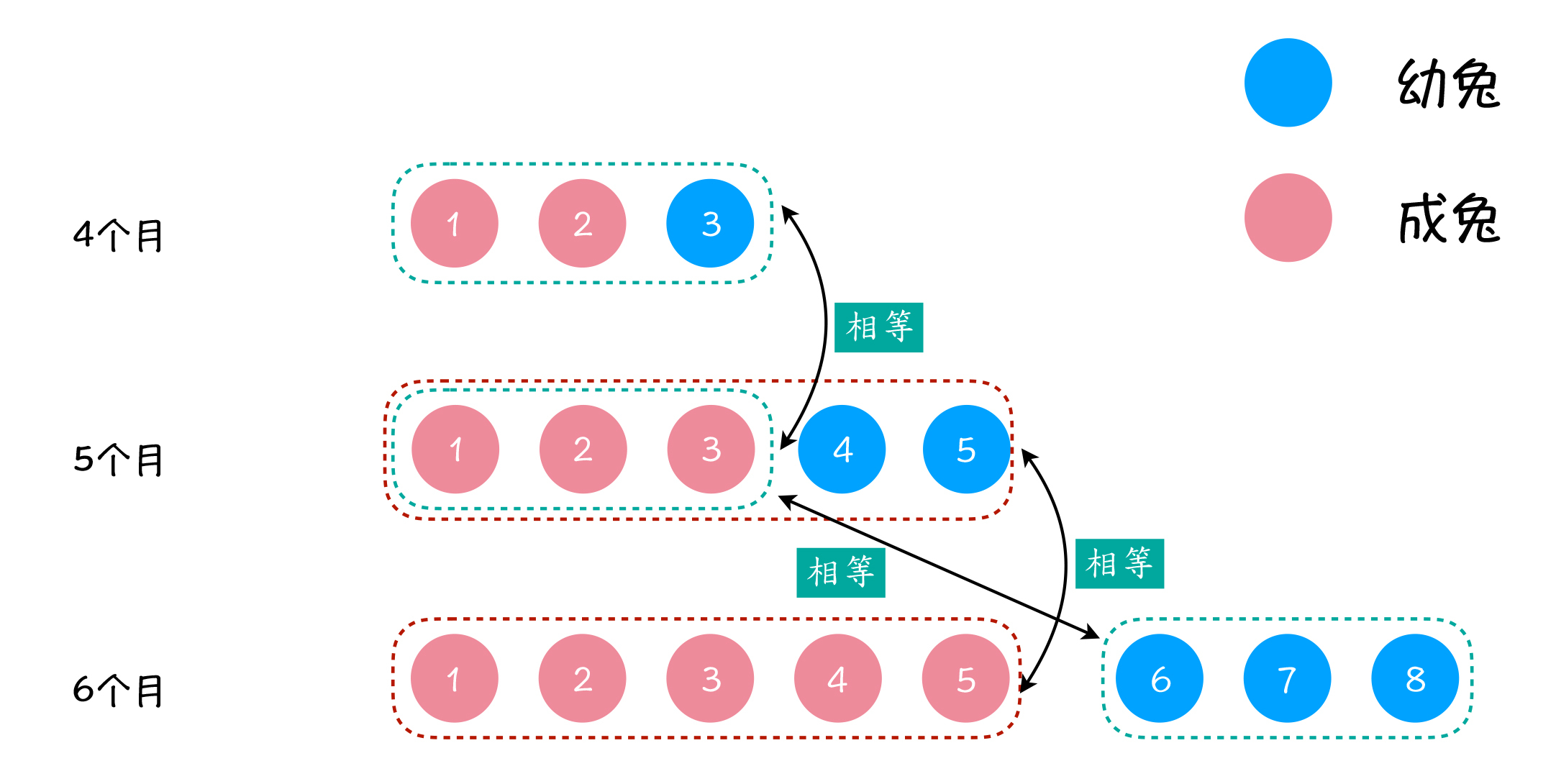 图3:第6个月的兔子数量与前两个月兔子数量关系
