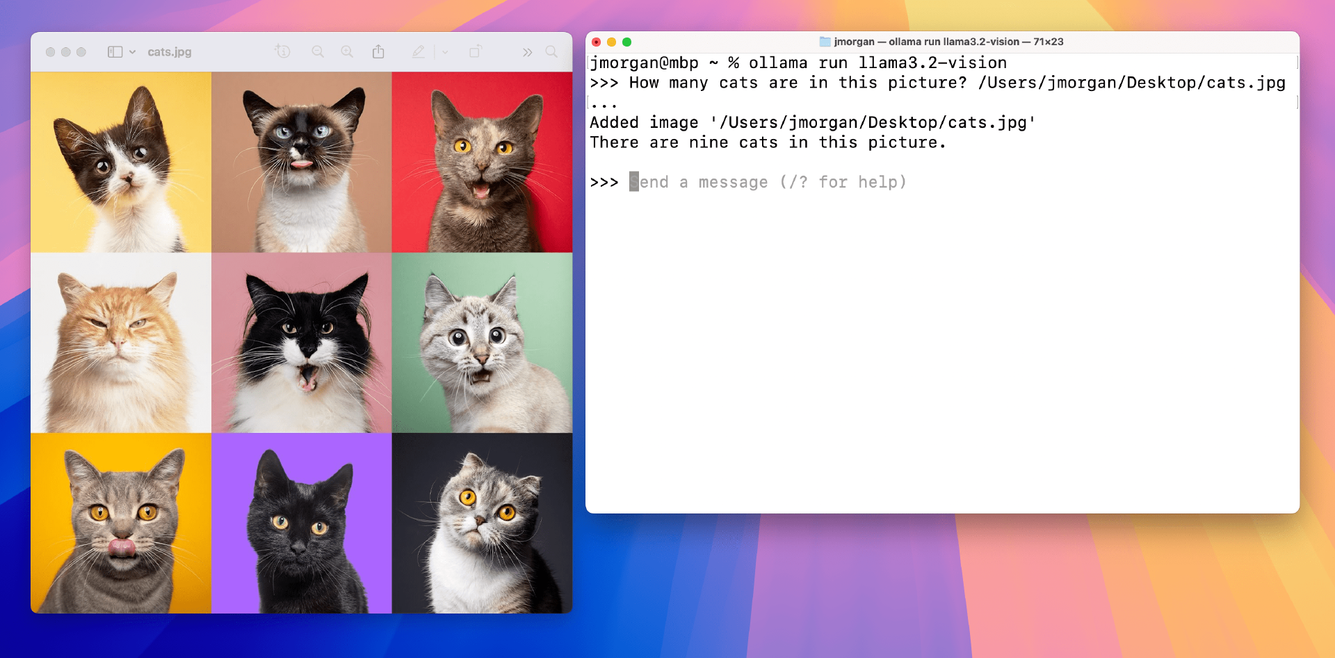 图像实体数据分析 图片