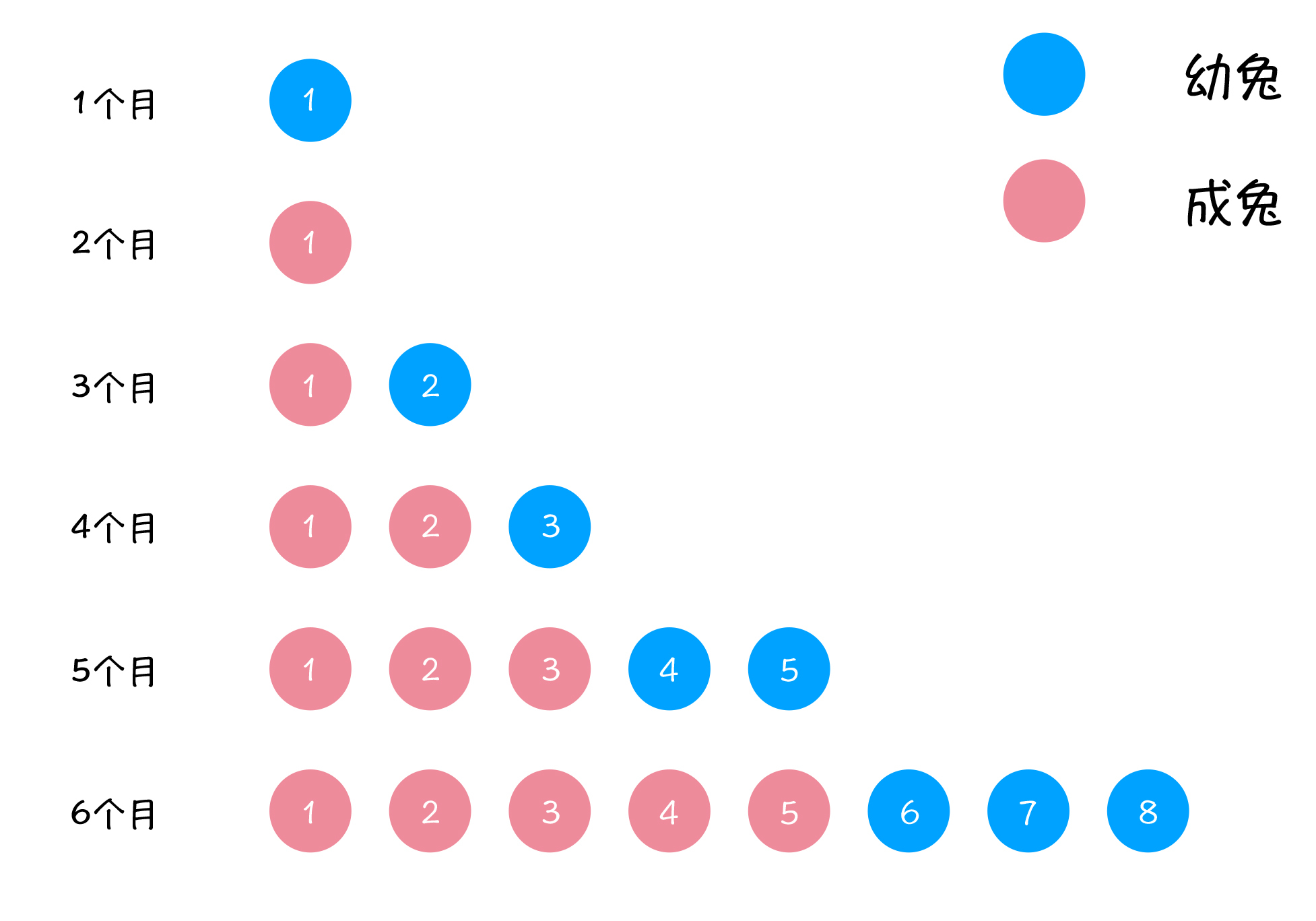 图2: 兔子前6个月繁殖情况
