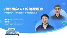 揭秘面向 AI 的编程语言 ｜InfoQ《极客有约》